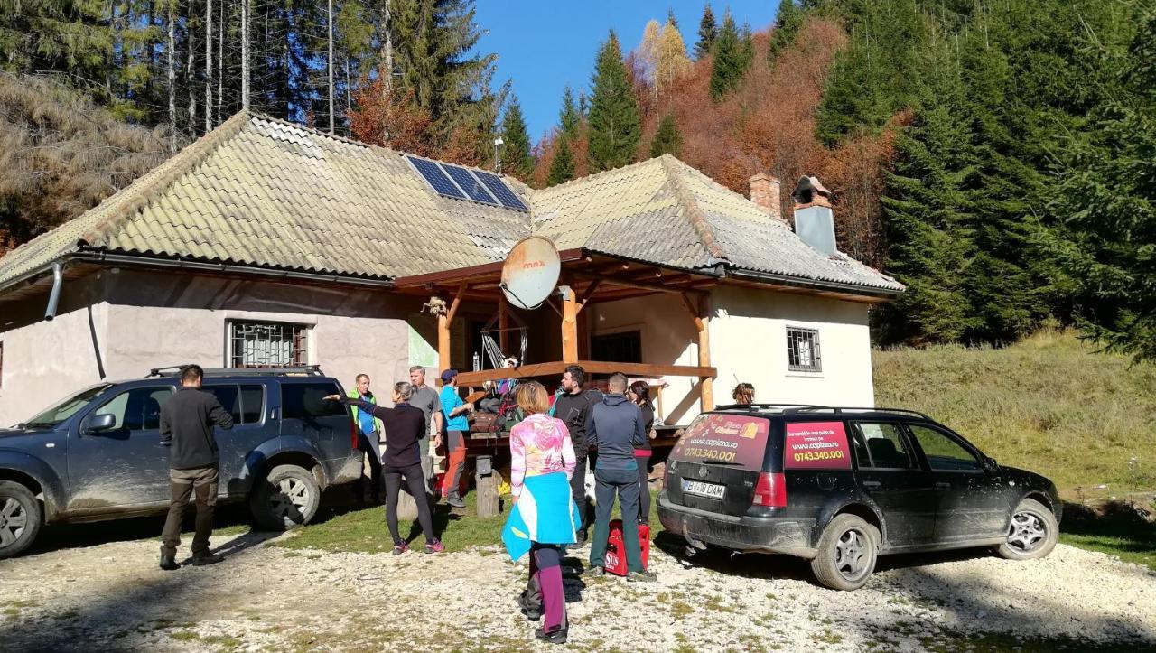 Cabana Pietricica Dîmbovicioara Buitenkant foto