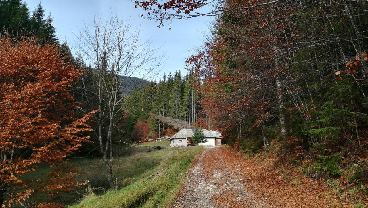 Cabana Pietricica Dîmbovicioara Buitenkant foto