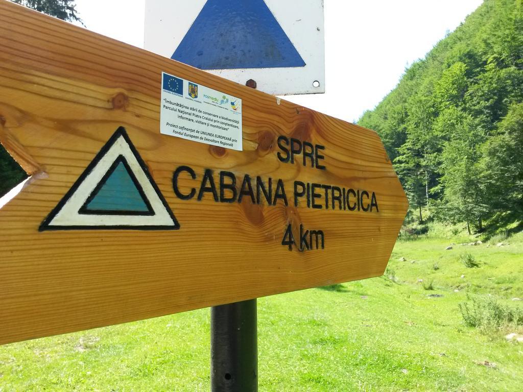 Cabana Pietricica Dîmbovicioara Buitenkant foto