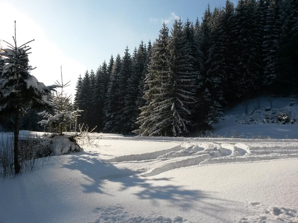 Cabana Pietricica Dîmbovicioara Buitenkant foto
