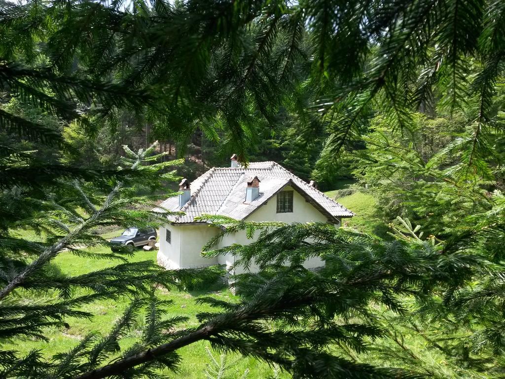 Cabana Pietricica Dîmbovicioara Buitenkant foto