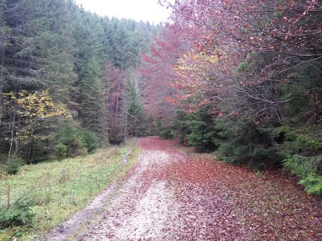 Cabana Pietricica Dîmbovicioara Buitenkant foto