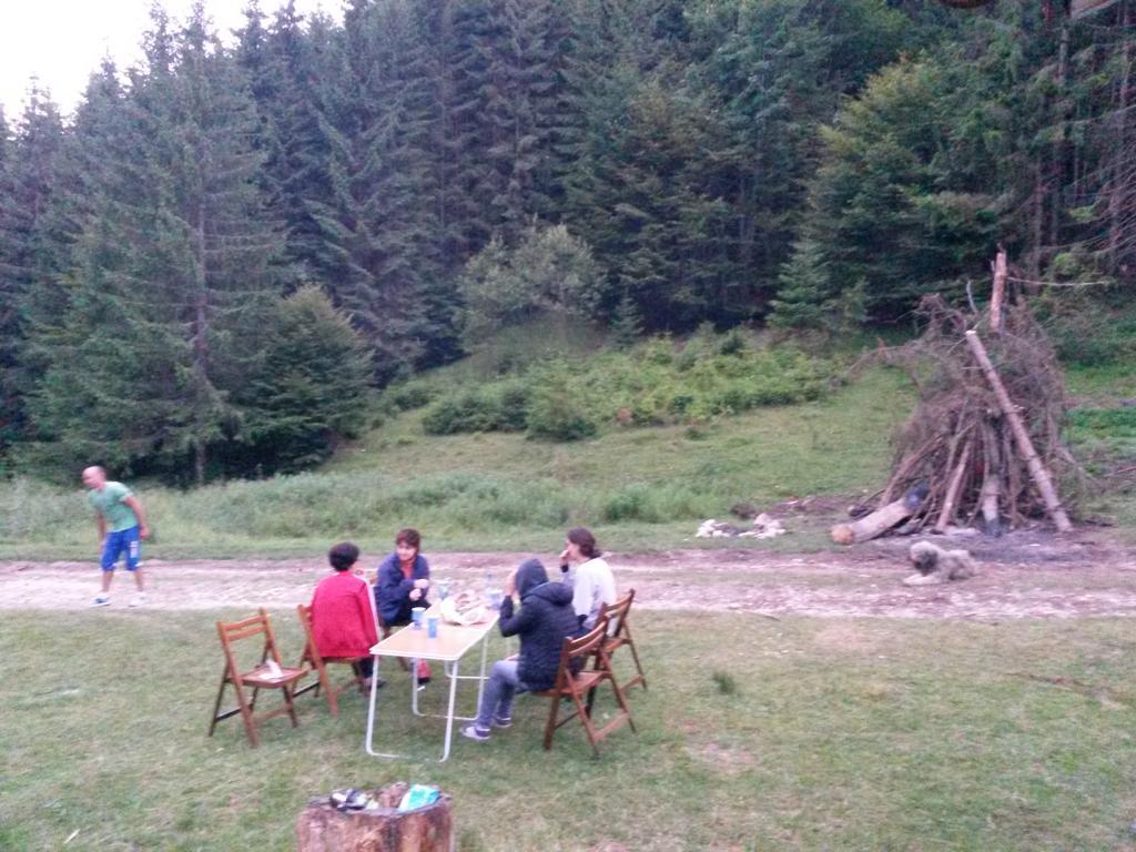 Cabana Pietricica Dîmbovicioara Buitenkant foto