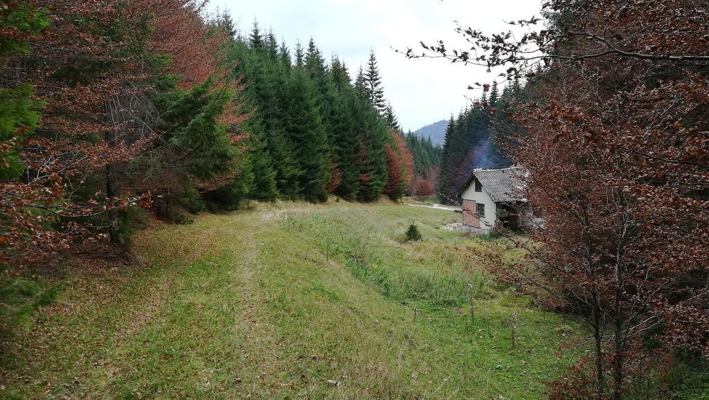 Cabana Pietricica Dîmbovicioara Buitenkant foto