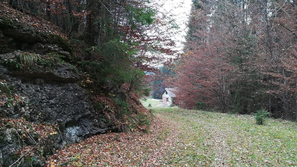 Cabana Pietricica Dîmbovicioara Buitenkant foto