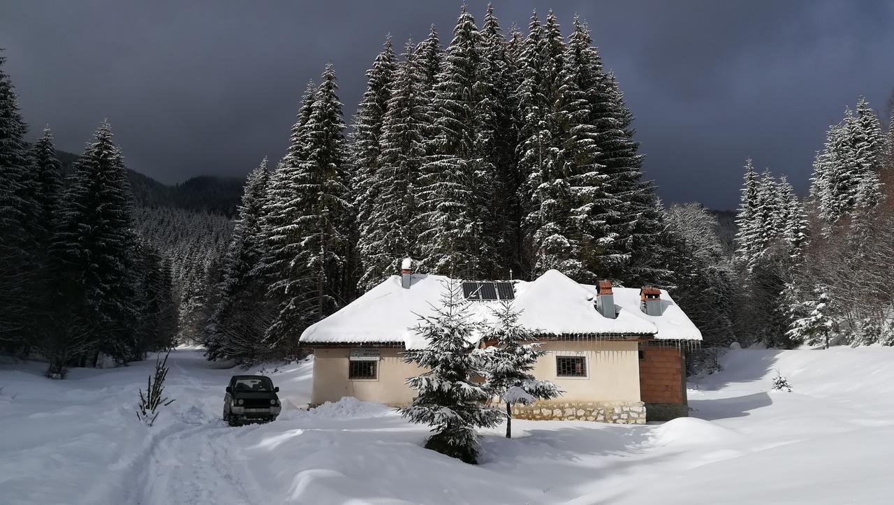 Cabana Pietricica Dîmbovicioara Buitenkant foto