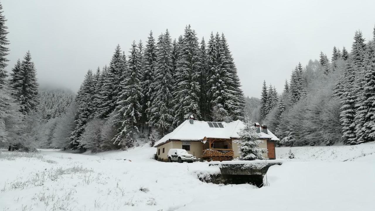 Cabana Pietricica Dîmbovicioara Buitenkant foto