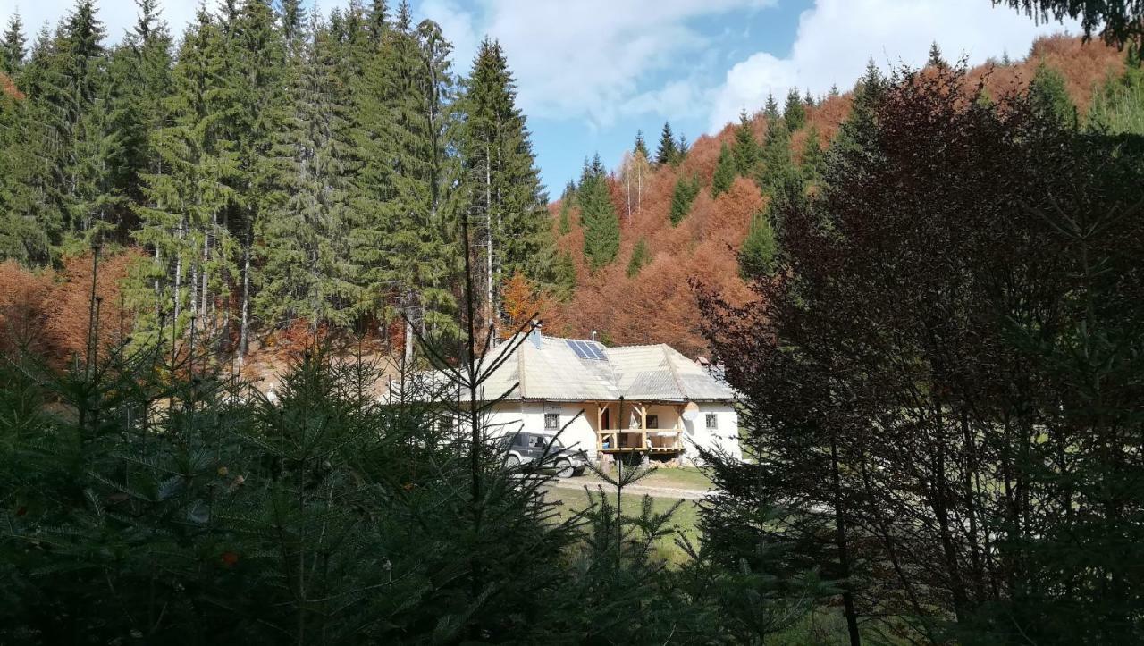 Cabana Pietricica Dîmbovicioara Buitenkant foto