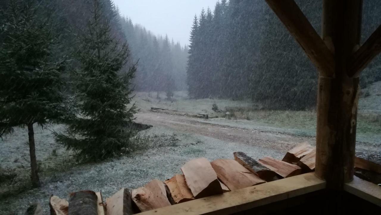 Cabana Pietricica Dîmbovicioara Buitenkant foto