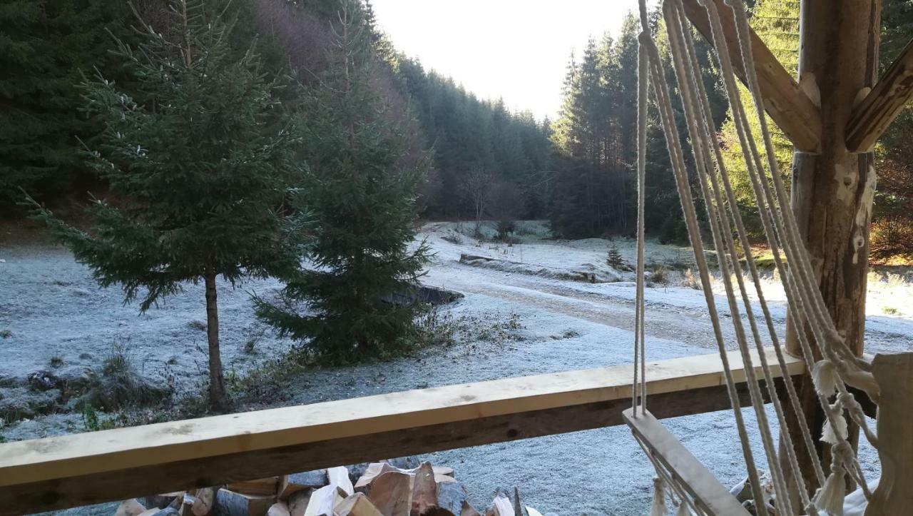 Cabana Pietricica Dîmbovicioara Buitenkant foto
