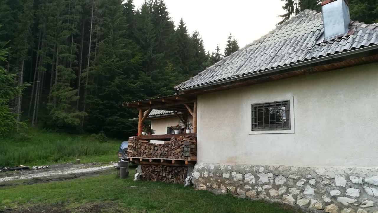 Cabana Pietricica Dîmbovicioara Buitenkant foto