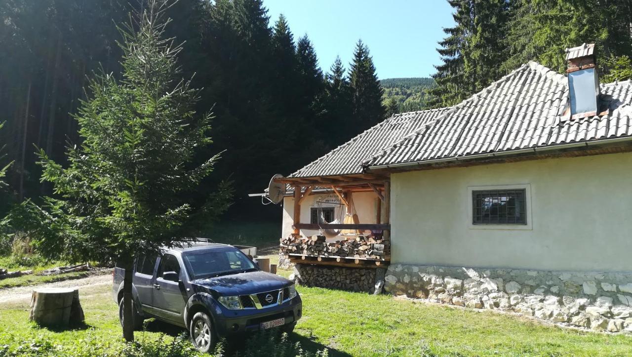 Cabana Pietricica Dîmbovicioara Buitenkant foto