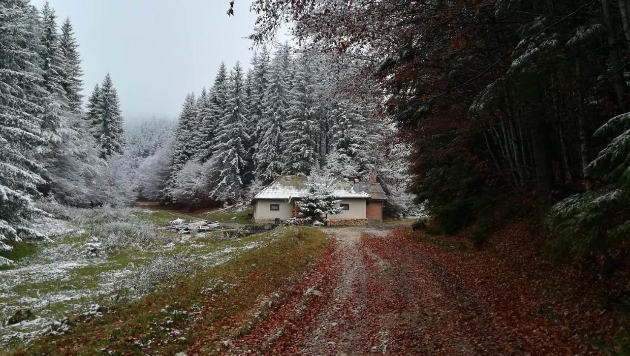 Cabana Pietricica Dîmbovicioara Buitenkant foto